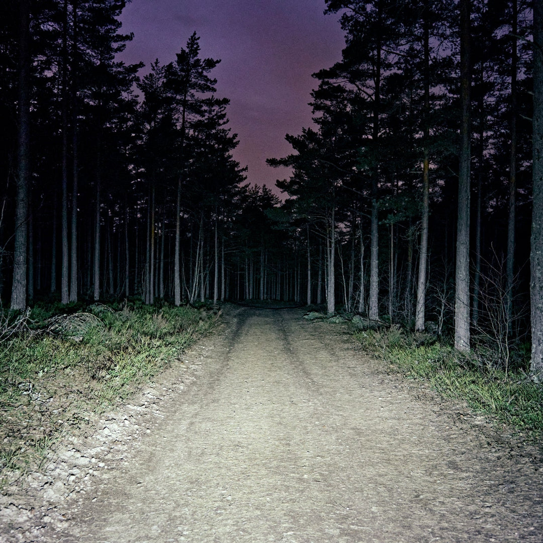 The beam of Volume 1500 in the woods.
#color_black